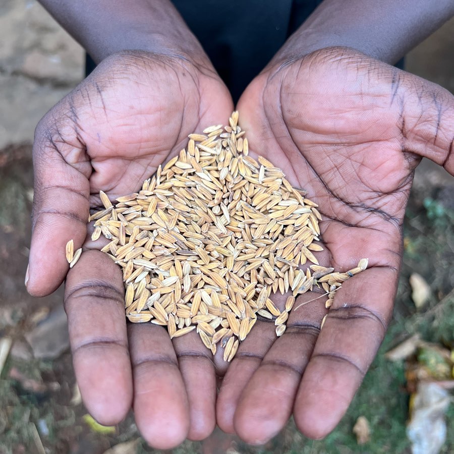 A large group of children in bright matching traditional Ugandan outfits standing outside a community building, arms raised and waving joyfully