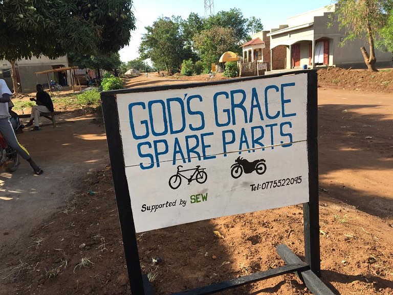 A pair of cupped hands holding a handful of rice seeds — the first harvest seeds provided to SEW women as part of the agricultural programme